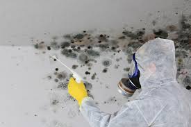 Reliable Poughkeepsie, NY Mold Removal Services Solutions